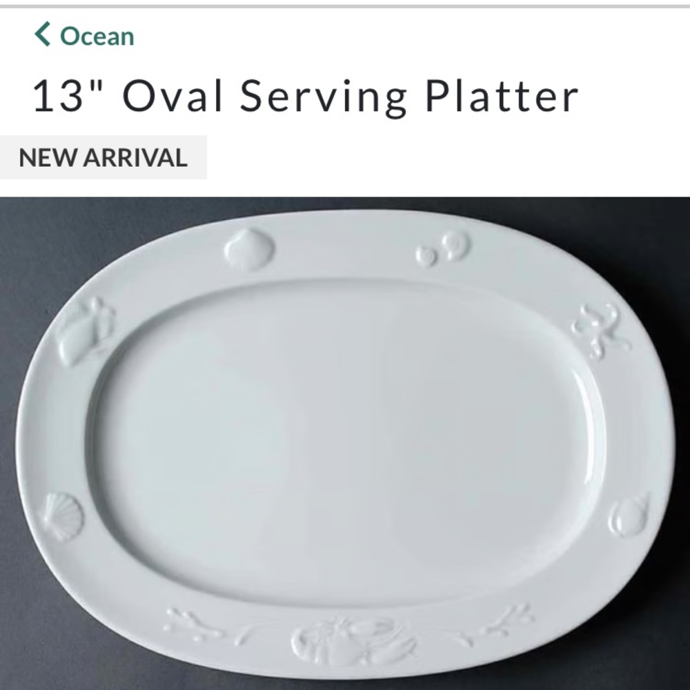 Vintage RARE Apilco France serving tray platter Ocean